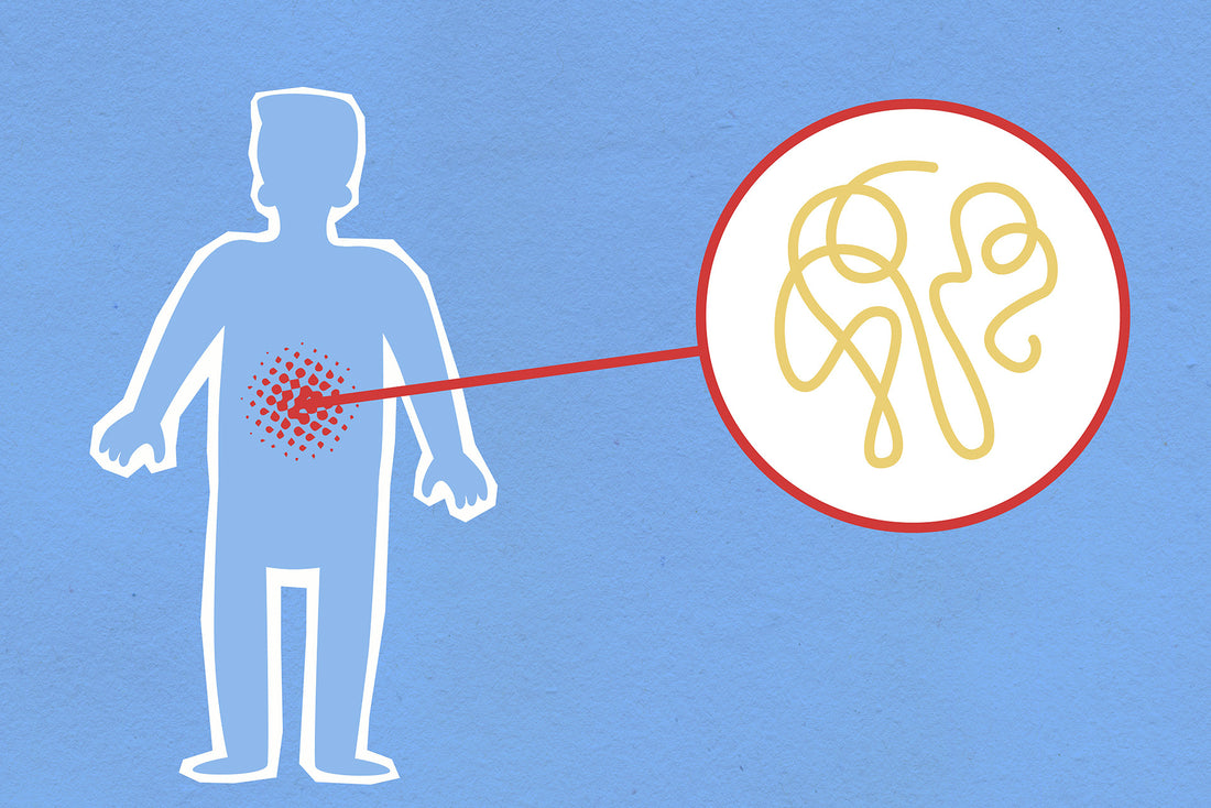 DIM for Improved Digestion