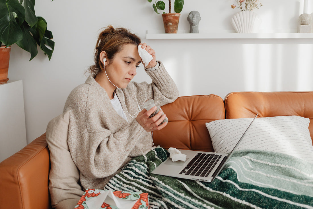 Echinacea for Cold benefits