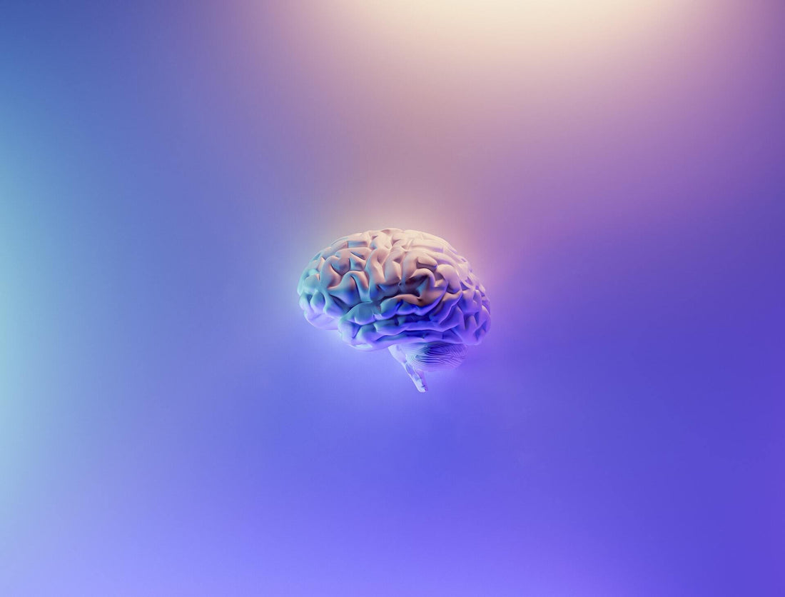 fish oil brain