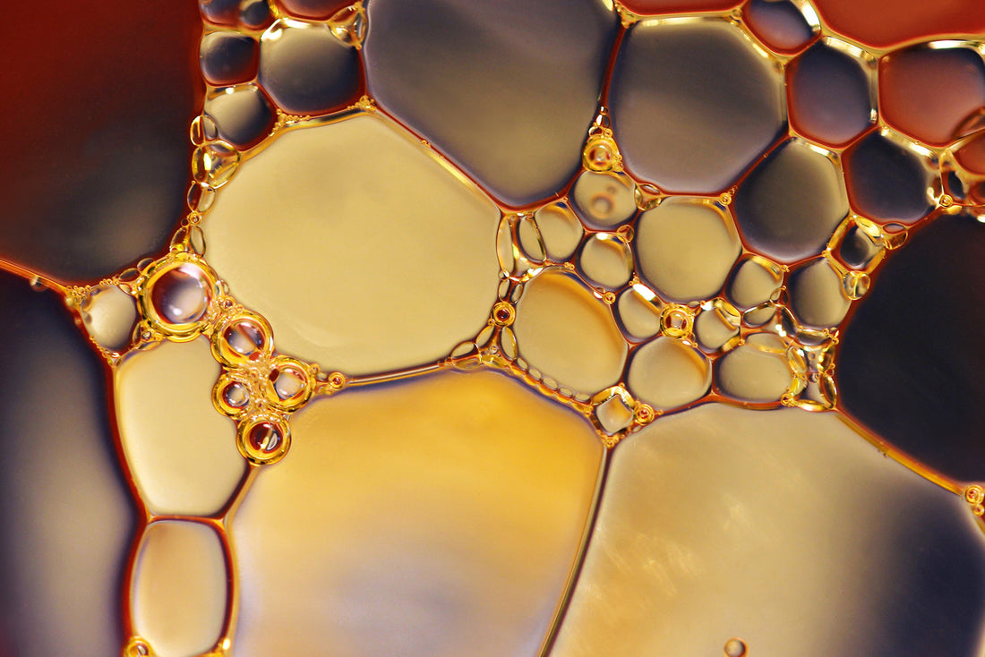 Fish Oil for Weight Loss