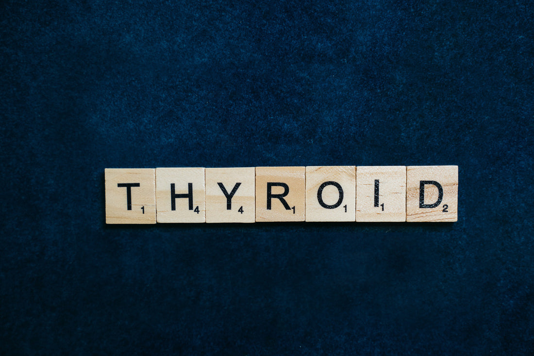 Garcinia Cambogia for Thyroid