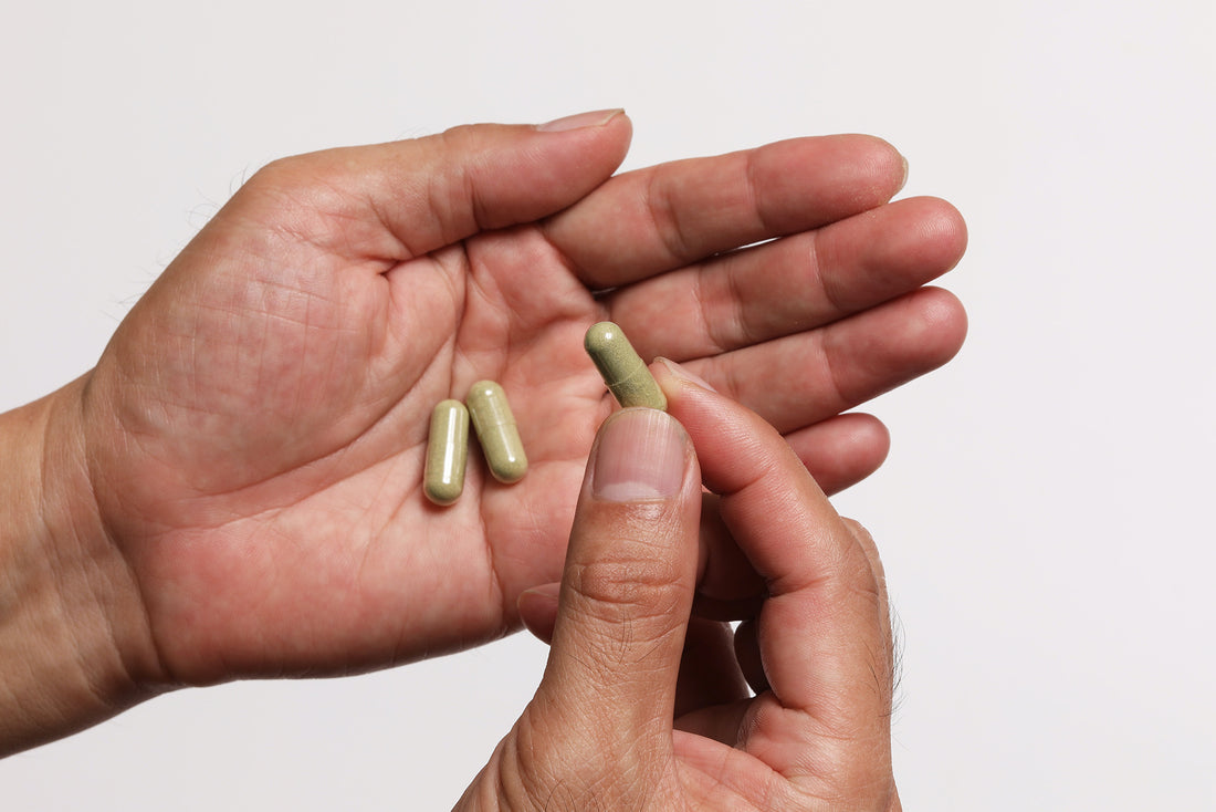 Garcinia Cambogia Vs Green Coffee Bean 