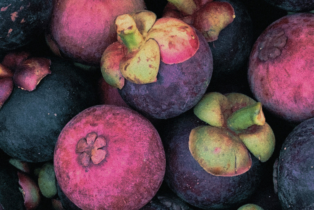 Garcinia Cambogia for Fatty Liver 