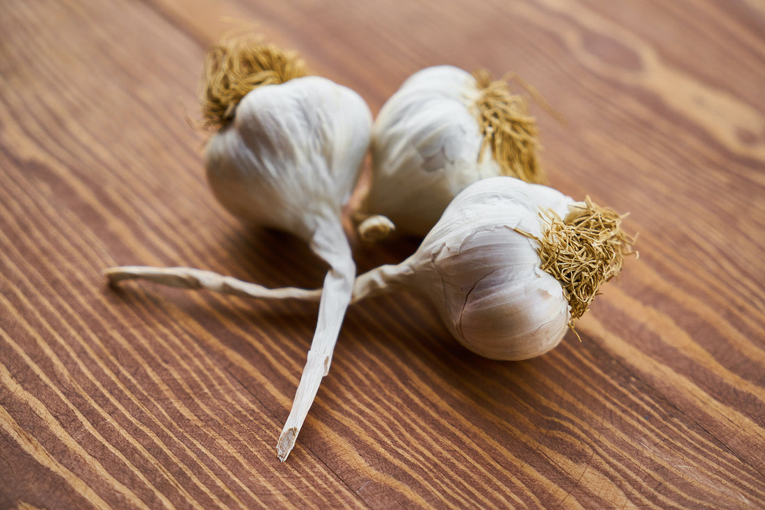 Garlic and the Common Cold