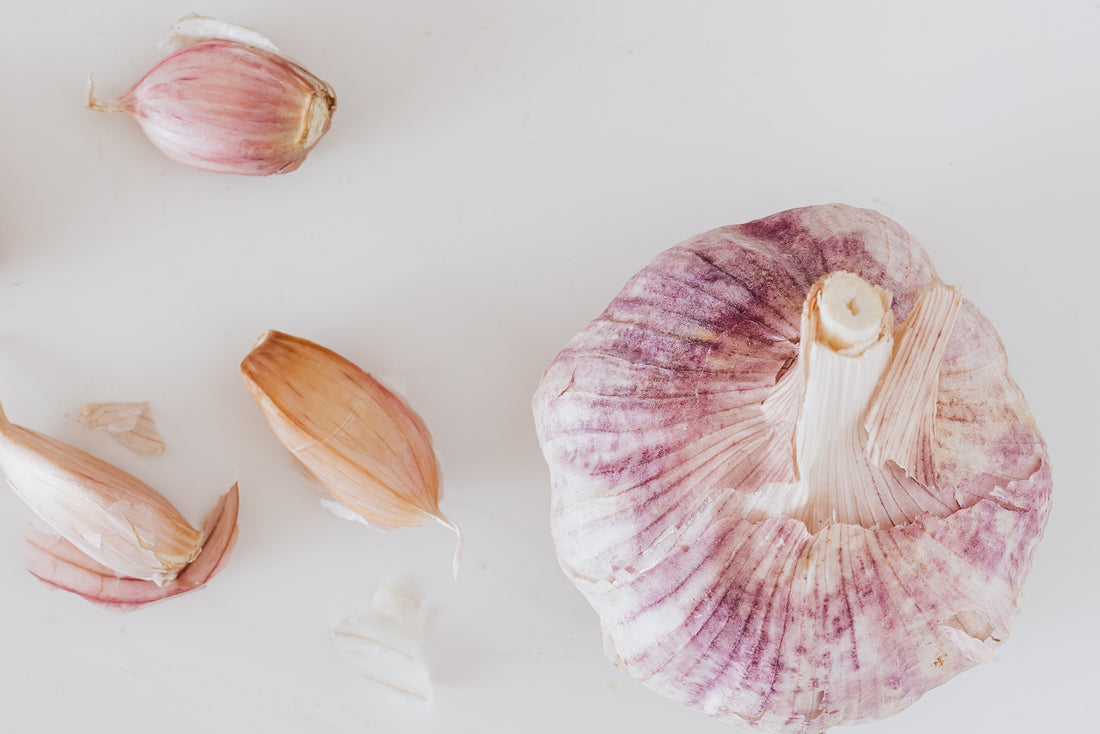 Garlic for Gut Health