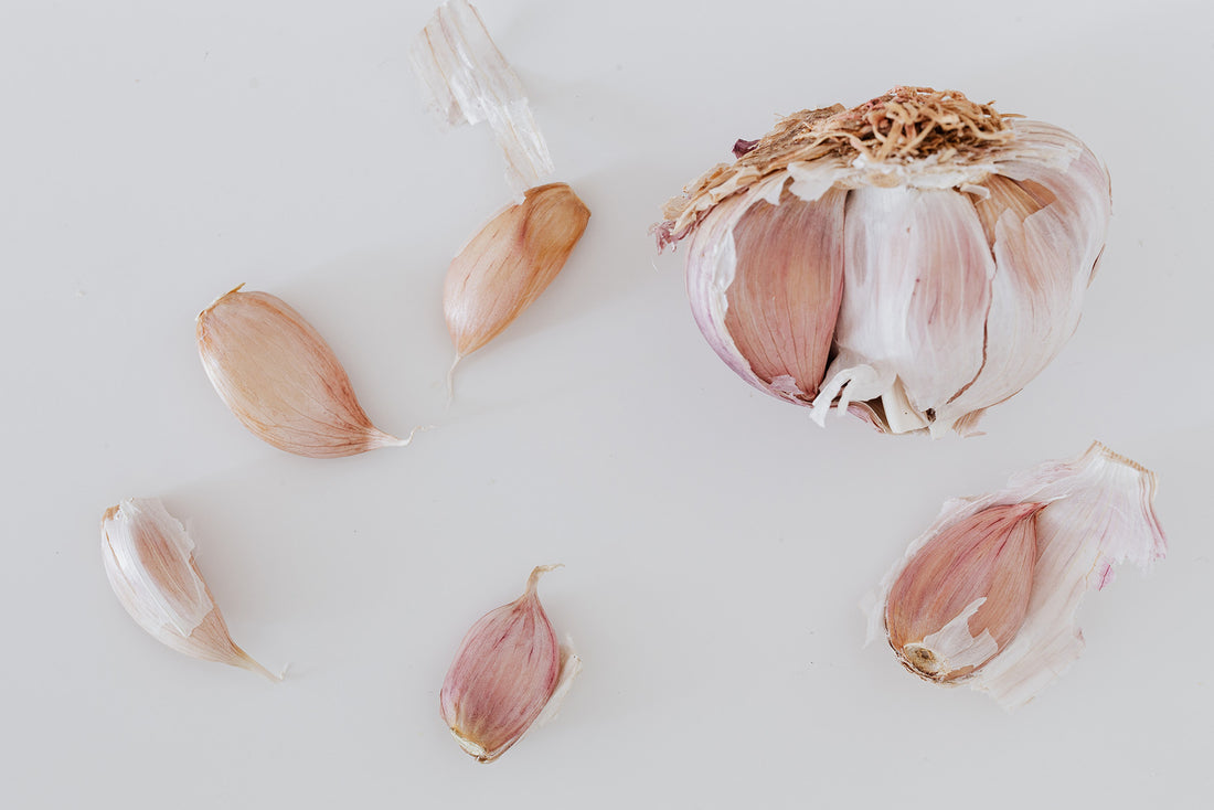 Garlic for mmune System