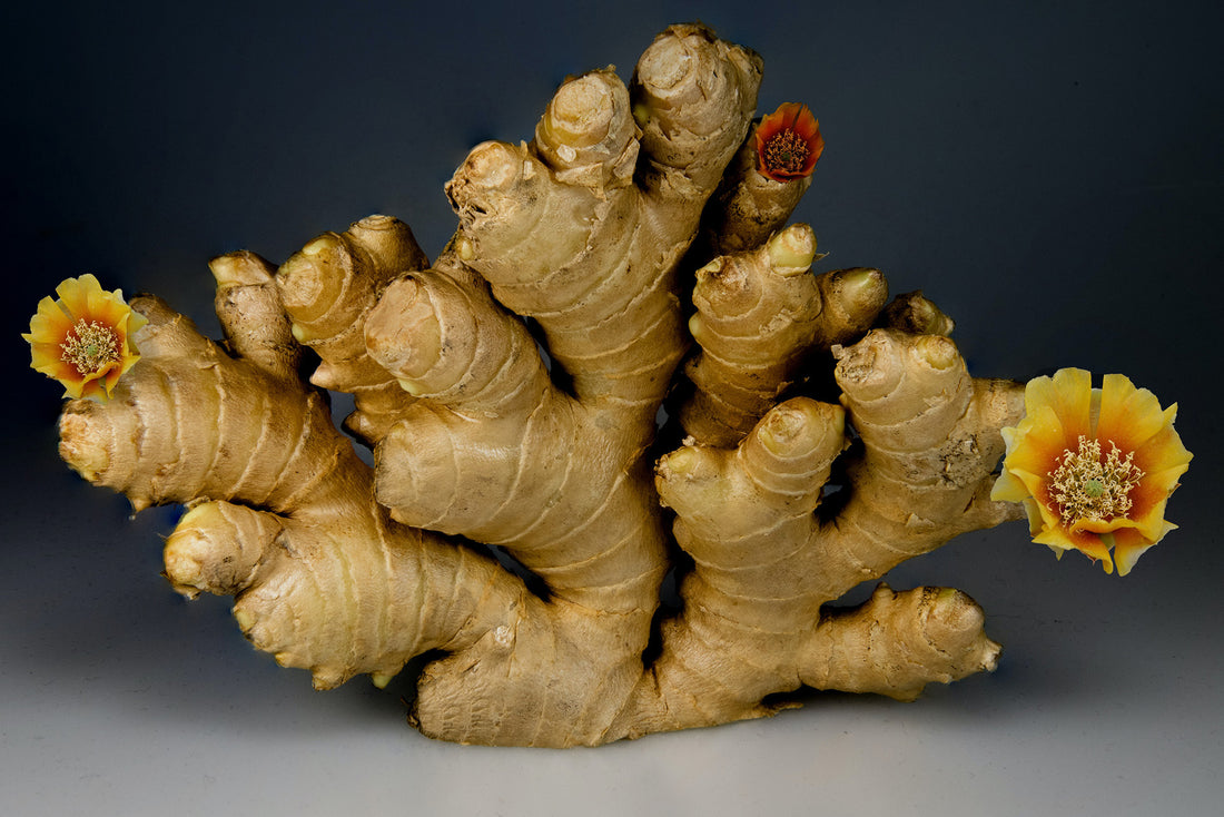 Ginger and Acid Reflux