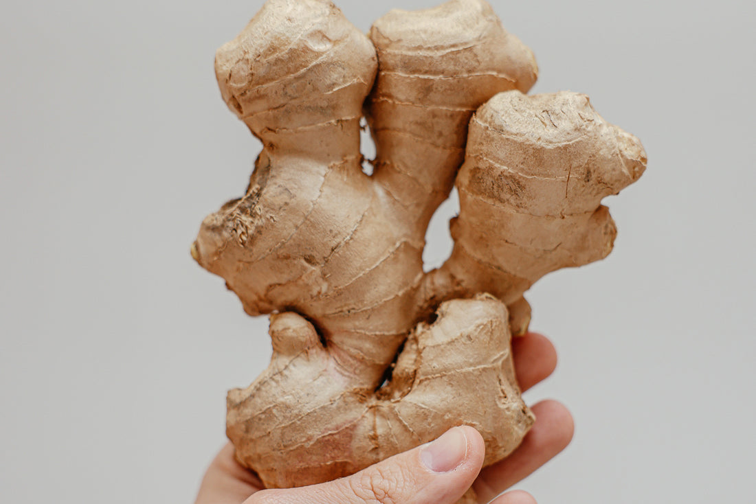 Ginger for Weight Loss how can it help?