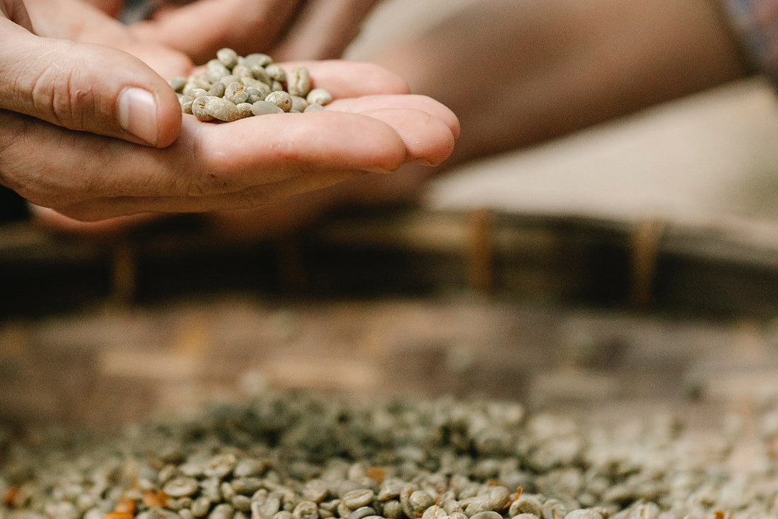 Green Coffee Bean Benefits for Skin