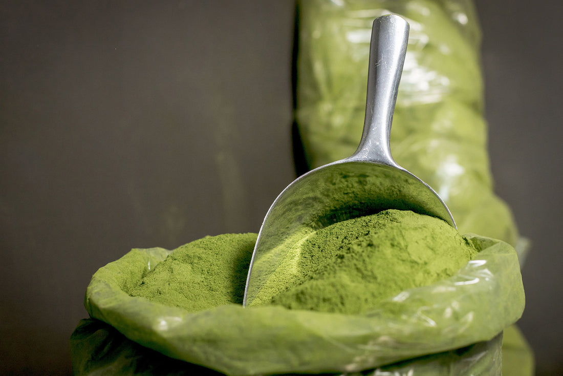 Greens Powder for Constipation