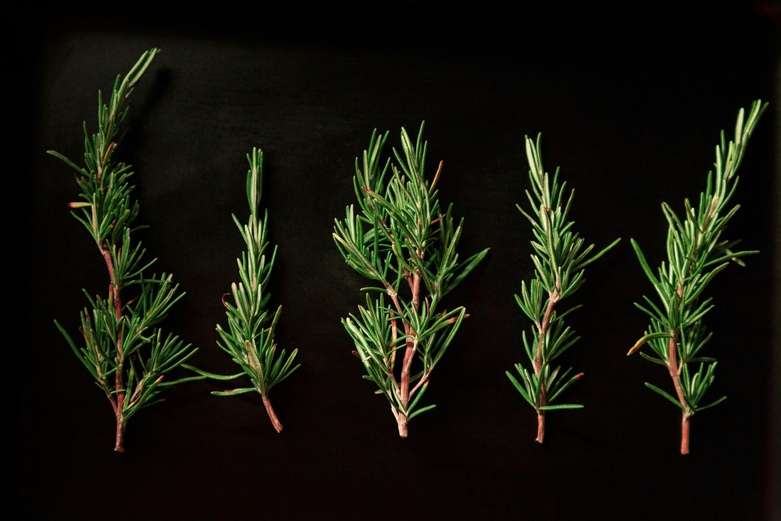 Health benefits of Rosemary