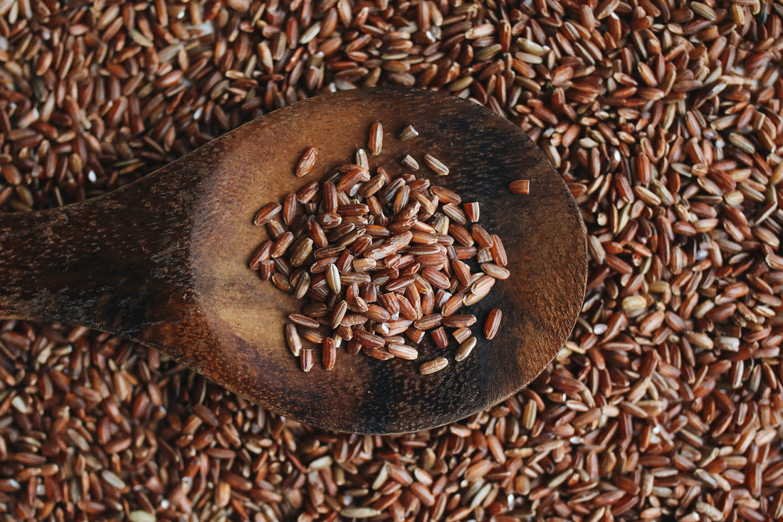 High Fiber Diets for Weight Loss