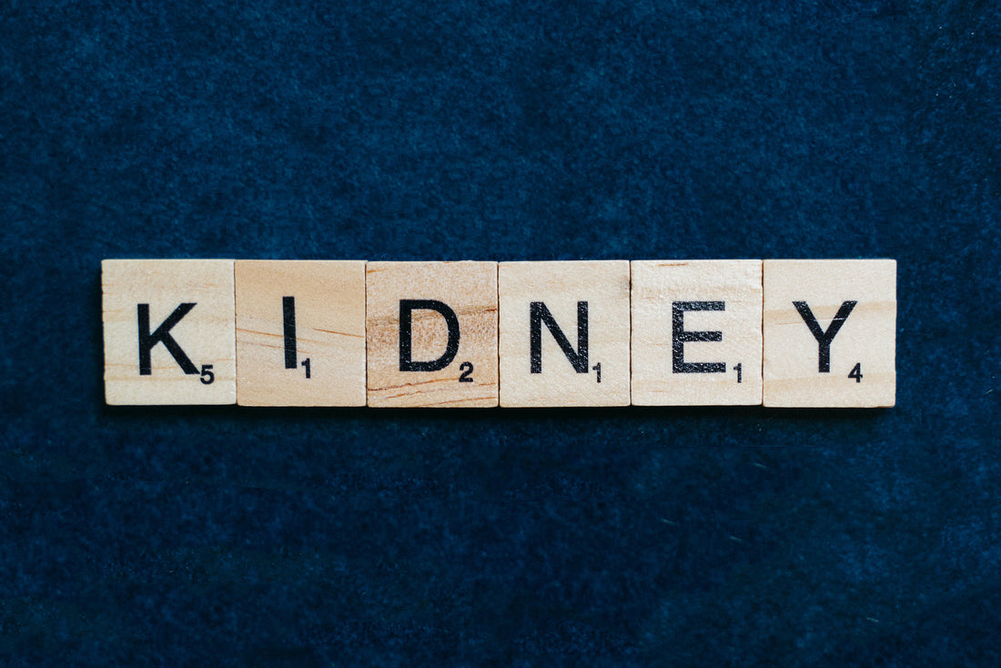 Kidney Support Supplements 