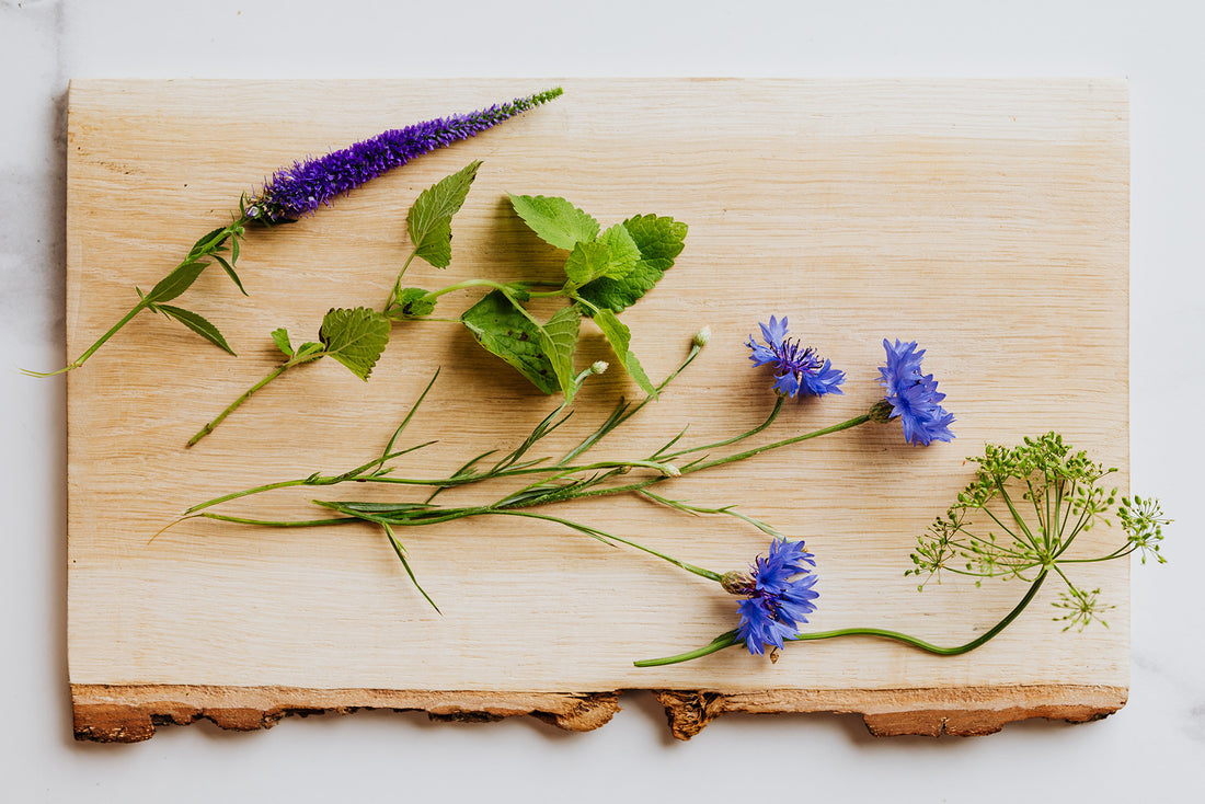 Lemon Balm and Cold Sores