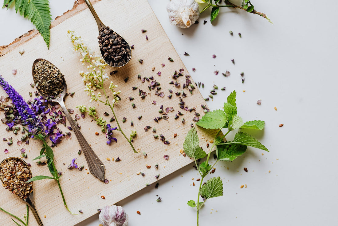 Lemon Balm vs Lemongrass: Herbal Uses, Health Benefits, and Key Differences