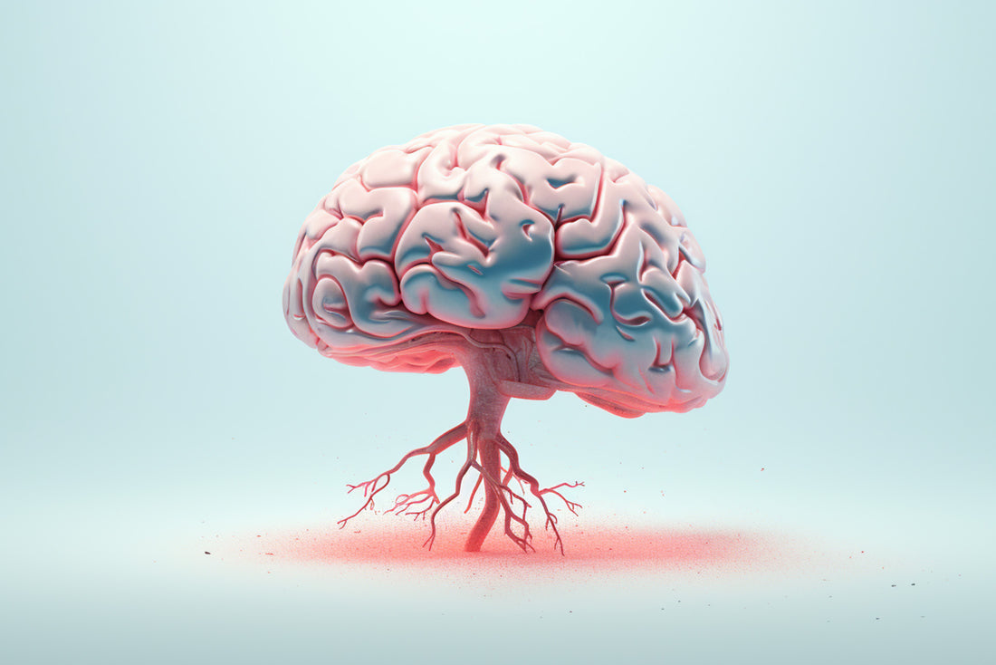 Lycopene Benefits for Brain Health