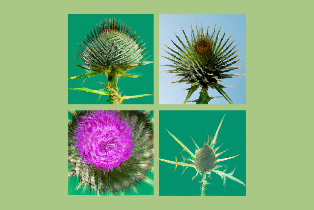 Milk Thistle and Estrogen