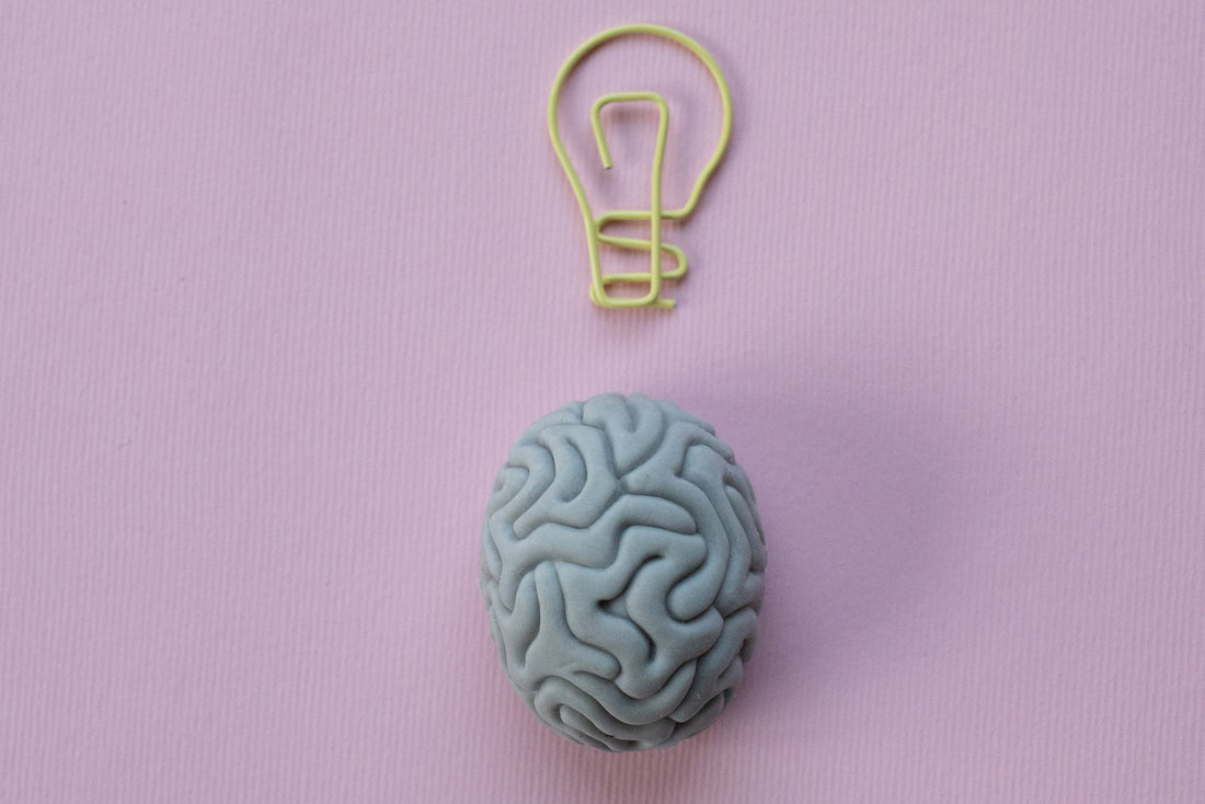 Mushroom Supplements for Brain Health