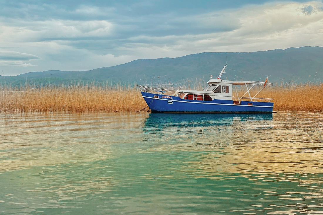 Natural Remedies for Sea Sickness