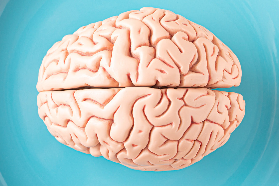 Omega-3 Supplements and Brain Health