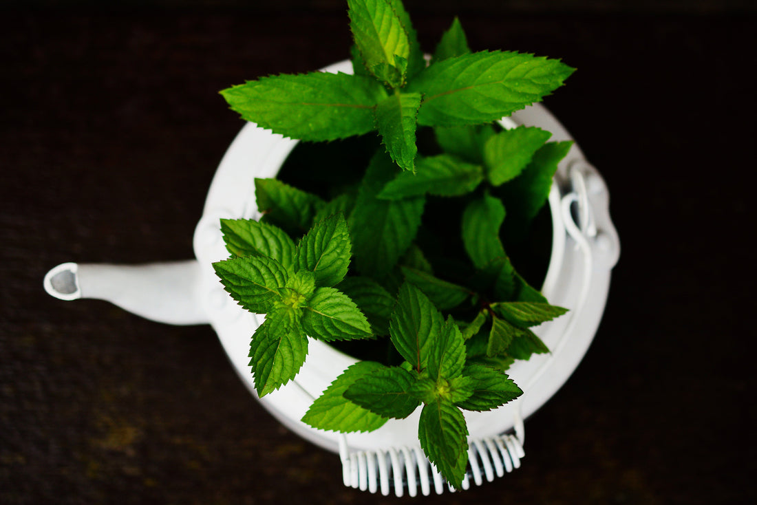 Peppermint oil for Digestive Health