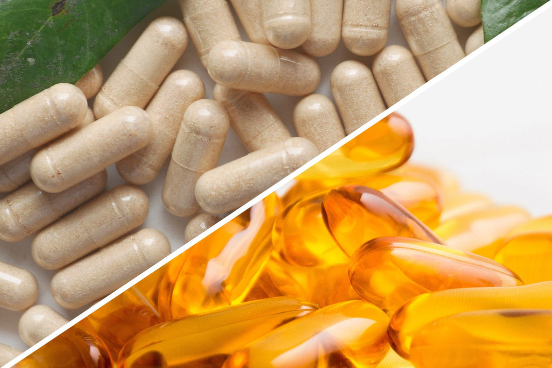 Phosphatidylserine Vs Lecithin 
