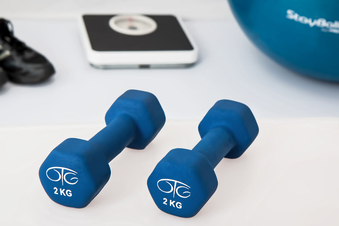 Plant Protein Powder for Post-Workout Recovery