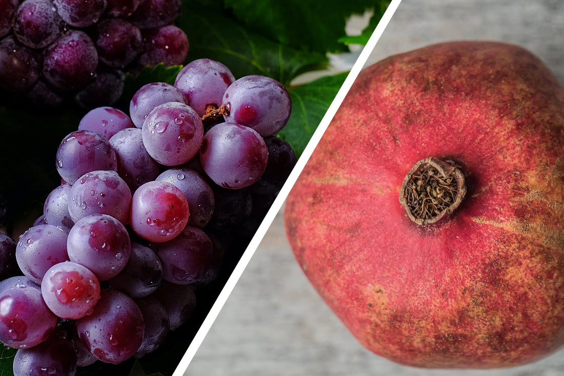 Pomegranate Extract Vs Grape Seed Extract
