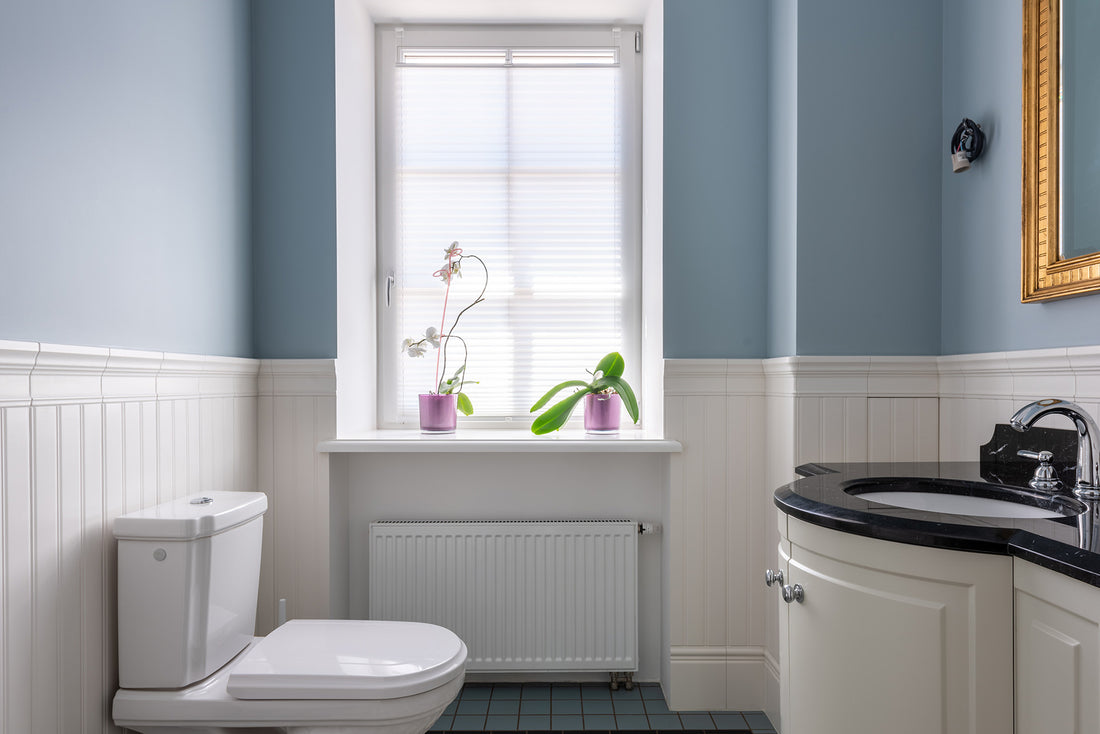 Probiotics for Constipation