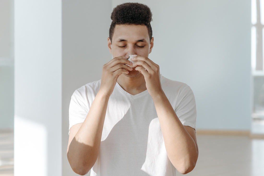 Propolis Benefits for Allergies