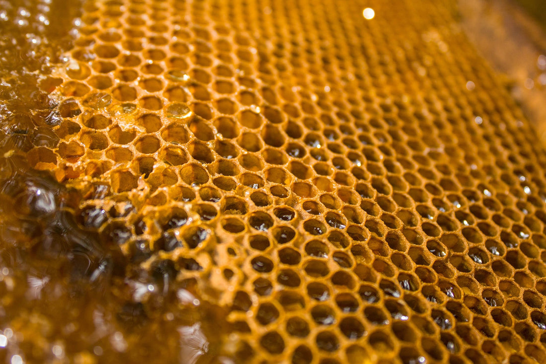 Propolis VS Manuka Honey