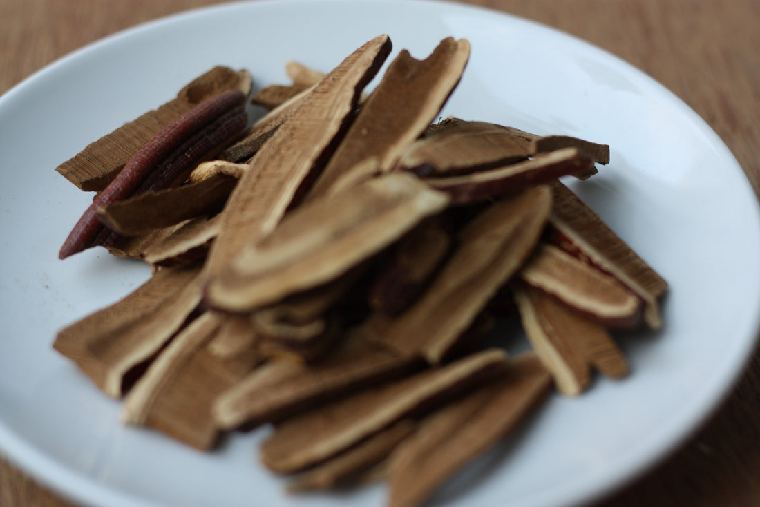 Reishi Mushroom for Anxiety