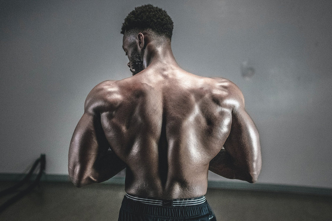 Resveratrol and Testosterone
