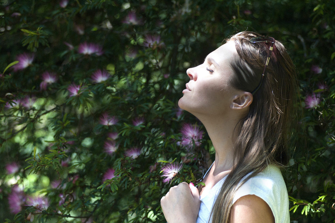Benefits of Rhodiola Rosea and Ashwagandha