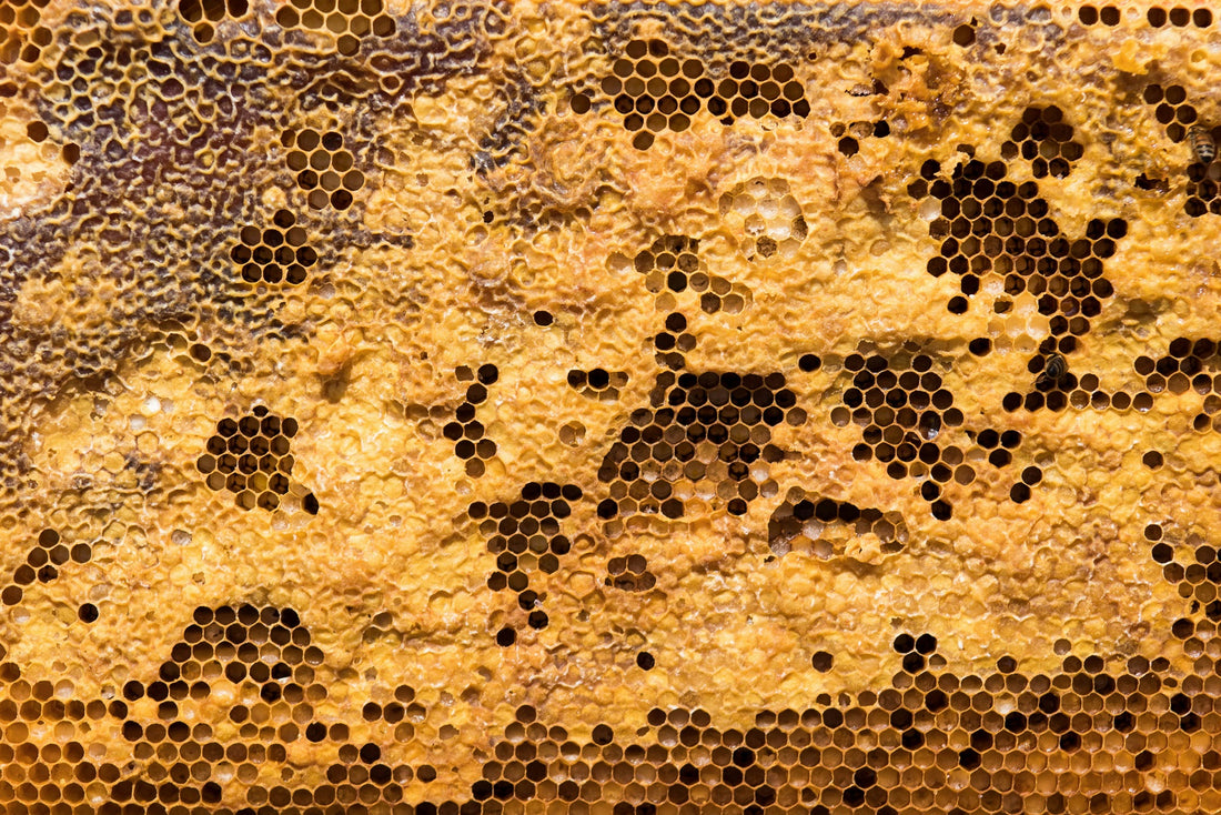 Royal Jelly: What is it and its health benefits
