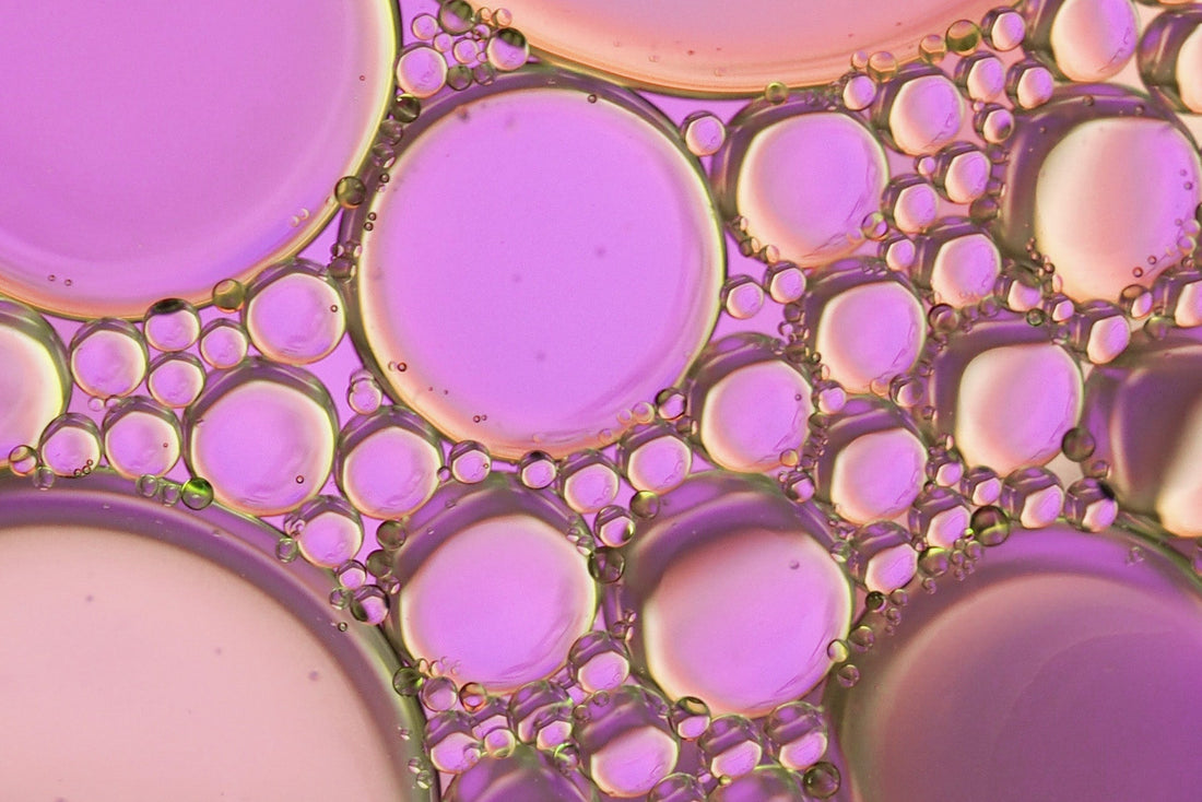 Seal Oil vs Fish Oil