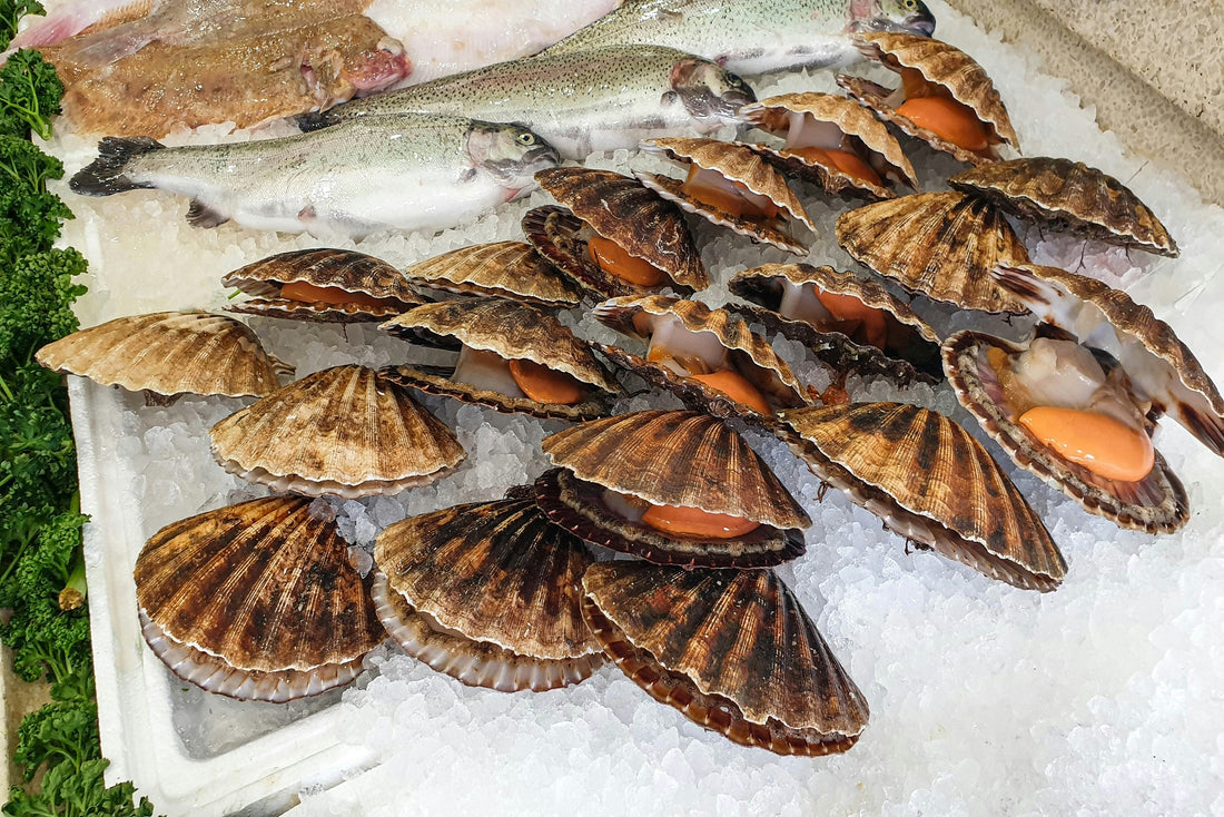 Shellfish Allergies: Symptomps and Effective Treatment