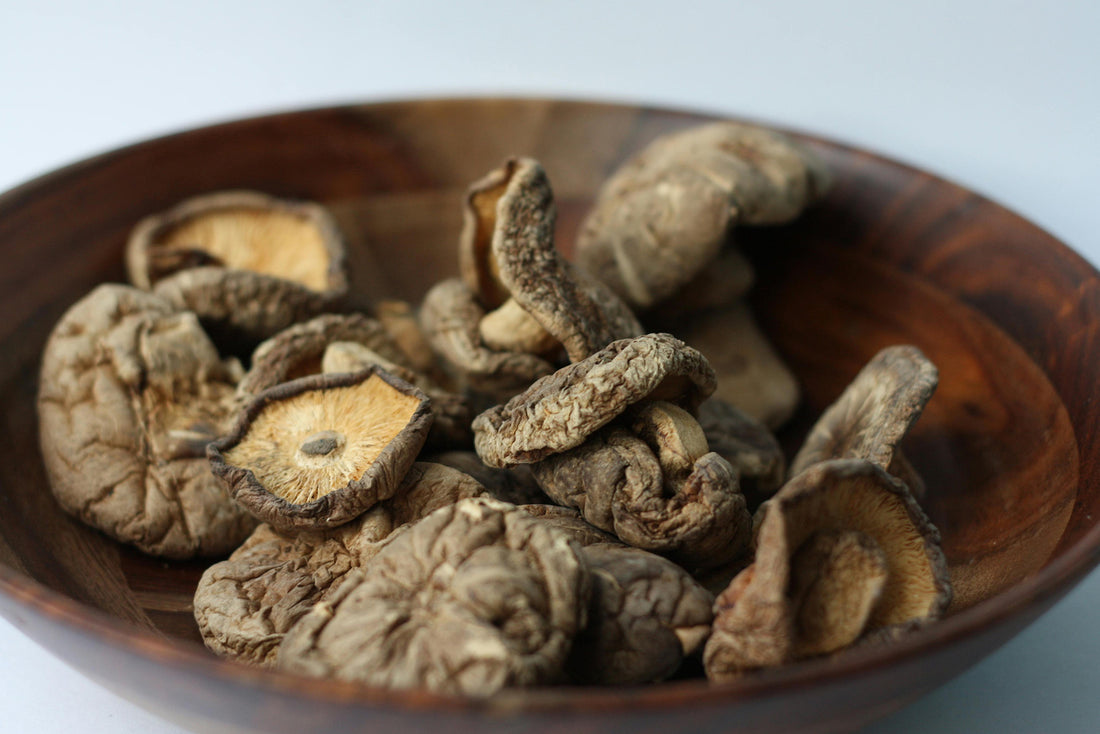 Shiitake Extract Supplements for skin