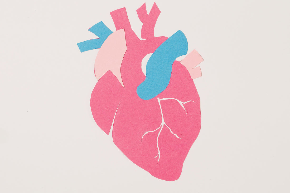 Shilajit for Heart Health