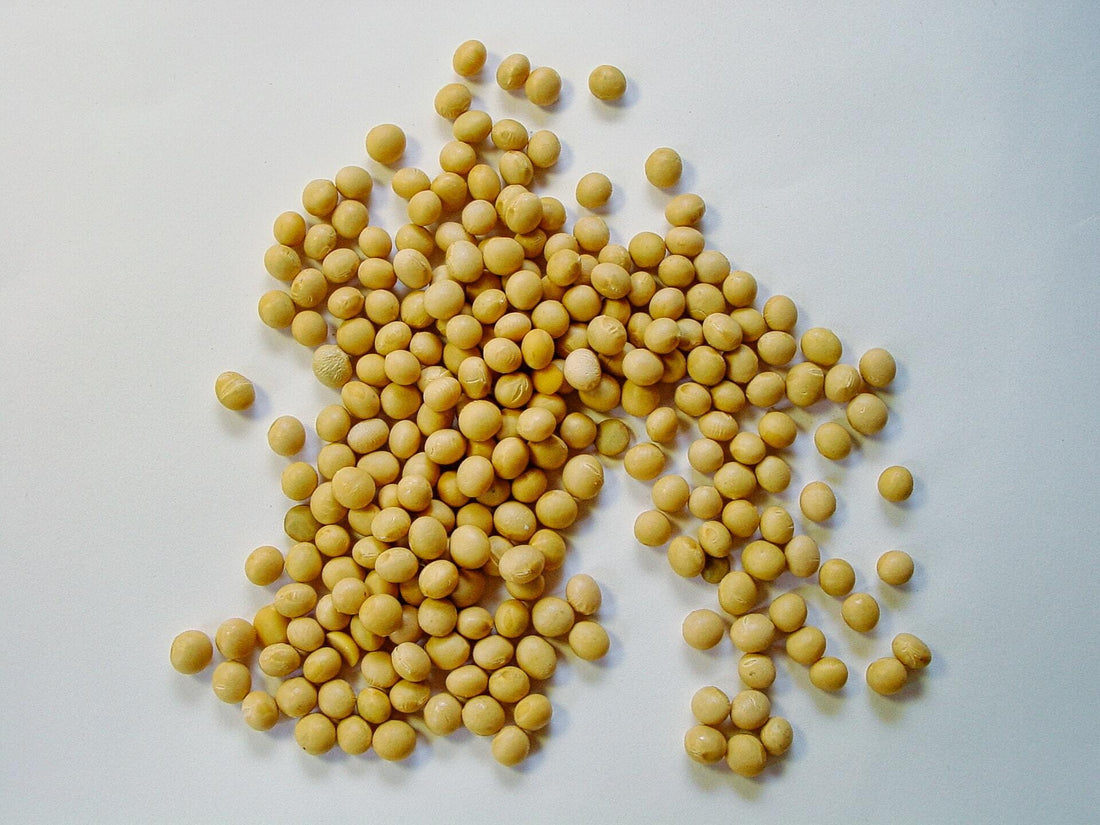 Soy isoflavones