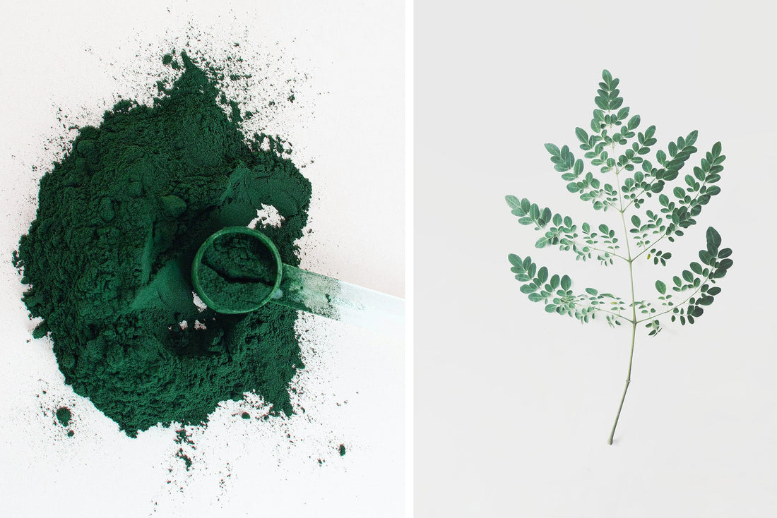 Spirulina Vs Moringa 