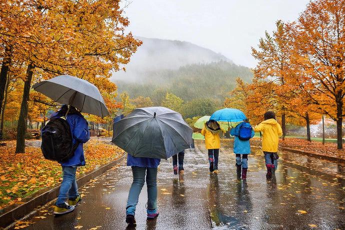 Supplements every student needs for the fall term 2024