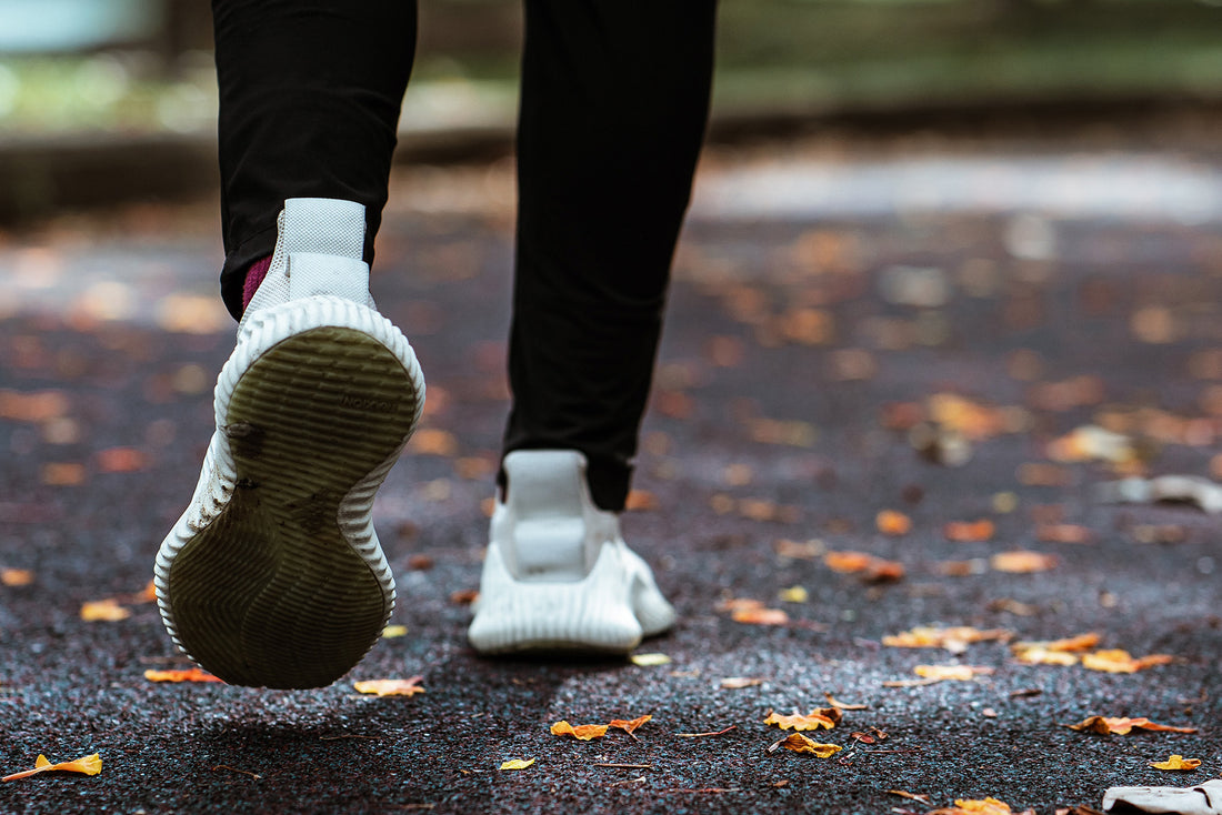 The Importance of Regular Physical Activity