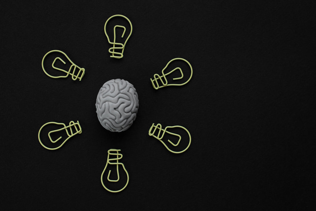 The Power of Antioxidants: Enhancing Brain Health and Cognitive Function