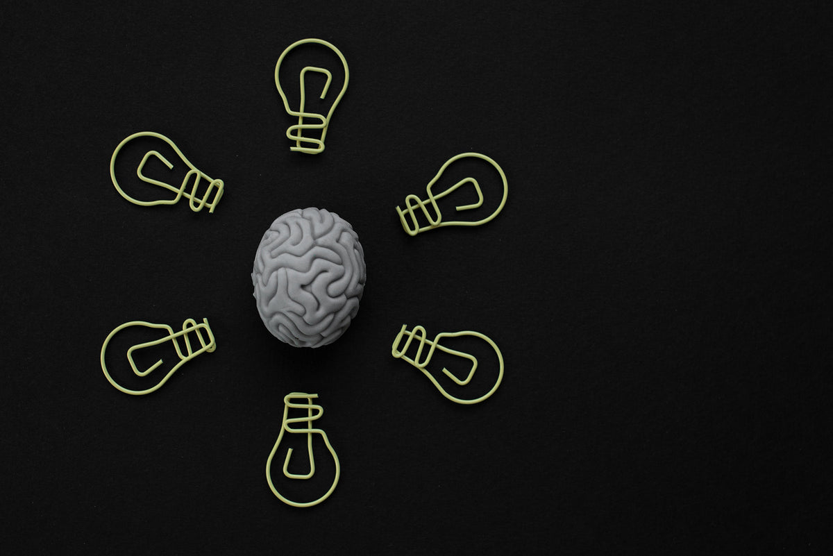 The Power of Antioxidants Enhancing Brain Health and Cognitive Functi