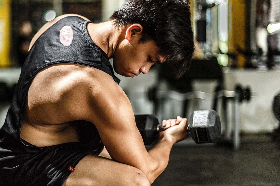Tongkat Ali for Muscle Growth