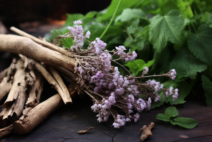 Valerian Root for Healthy Hair