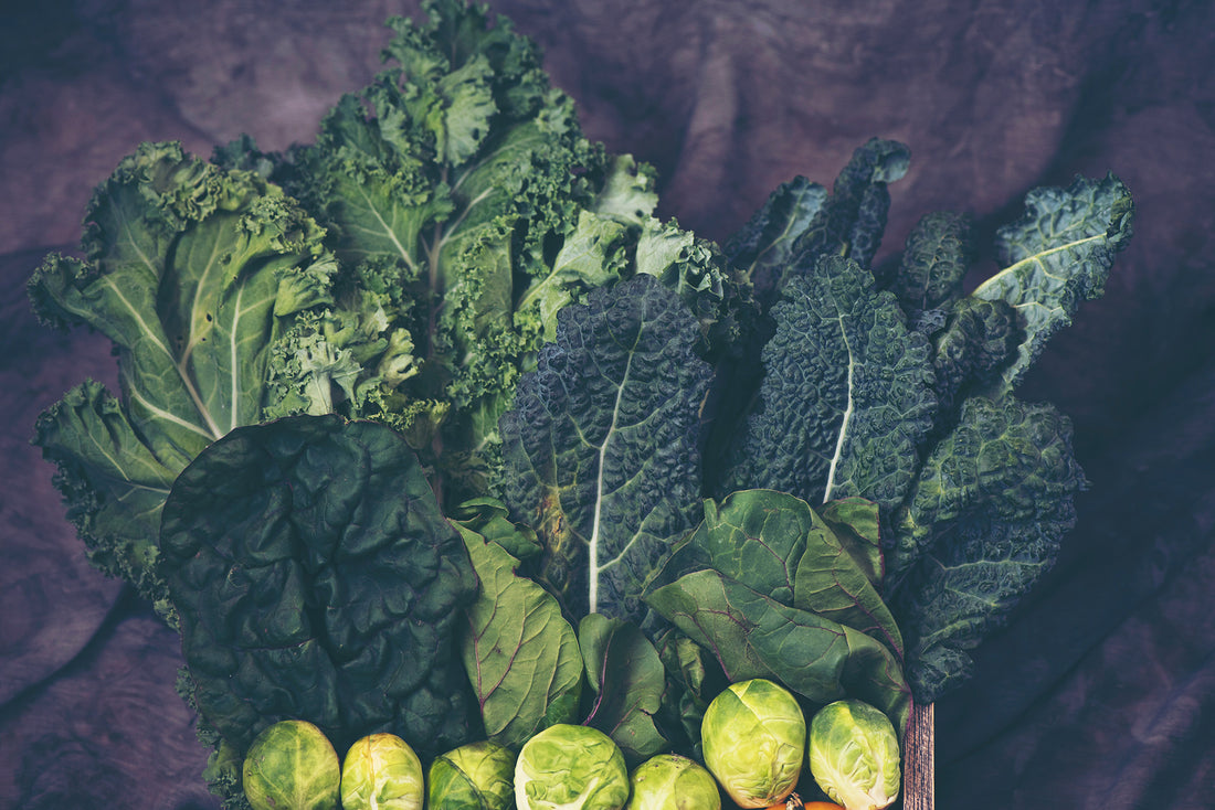 Vitamin E Deficiency