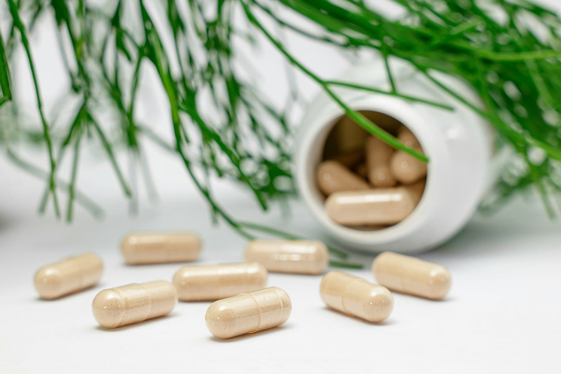 Ways to help maintain your supplements longevity