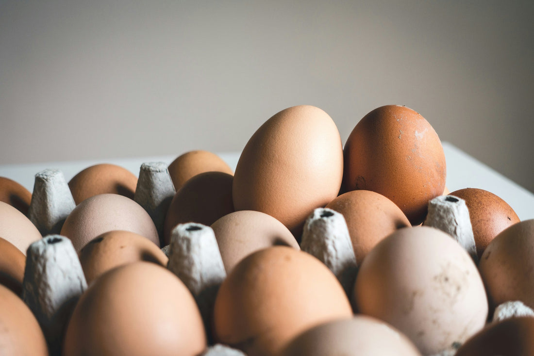 What is Choline and its health benefits
